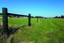 Tanasote treated agricultural fence