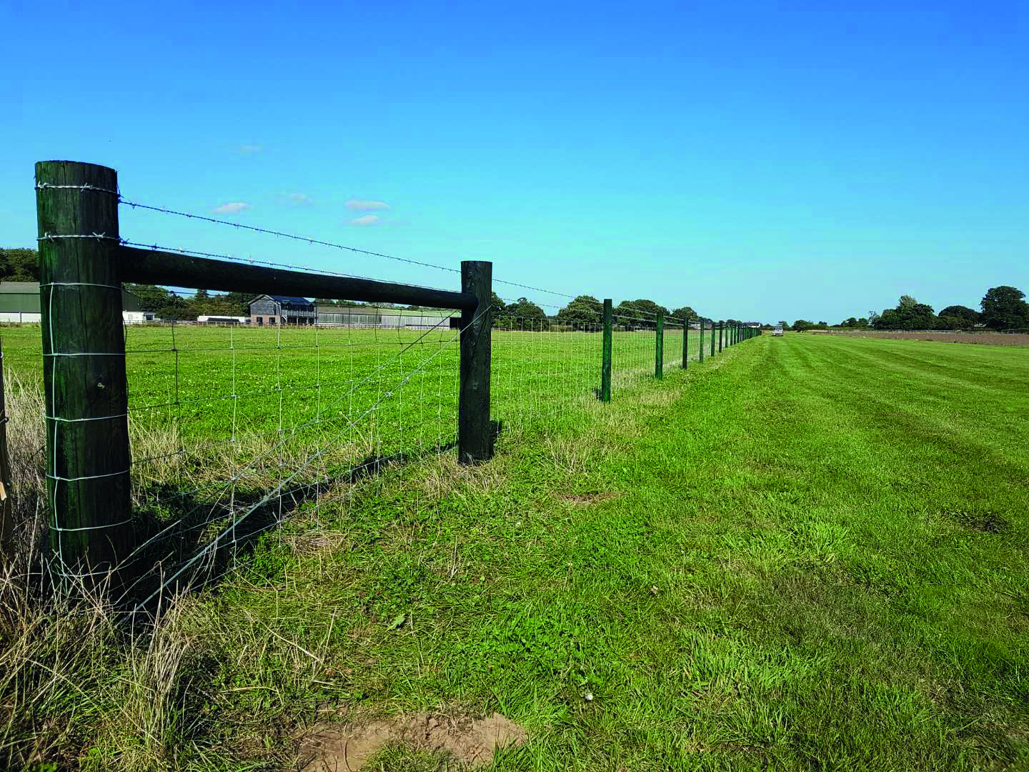 Tanasote treated agricultural fence